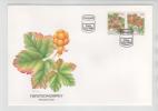 Norway FDC 22-2-1996 Wild Berries In Pair From Booklet With Nice Cachet - FDC