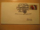 USA Tampa 1991 XXV Cancel Cover American Football Cup Soccer Futbol Americano Super Bowl - Copa America