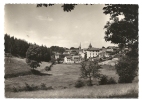 Montfaucon-en-Velay (43) : Vue Générale En 1950 PHOTO VERITABLE. - Montfaucon En Velay