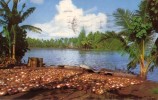 CPA - TAHITI - PREPARATION DU COPRAH - BAIE DE MATAIEA - Polynésie Française
