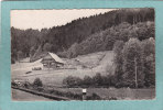 Environs D´OFFENBOURG - Ferme De La Foret Noire - 1951  - SMD - BELLE CARTE PHOTO - - Offenburg