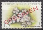 Specimen, Cyprus Sc990 Medicinal Plant, Myrtus Communis - Piante Medicinali