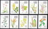 Turks And Caicos Island 1990 Flowers MNH Perf 14 - Turks & Caicos