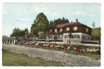 Dillingen (Sarre) : Pension Goldberg-Alm Im 1950. - Other & Unclassified