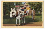 CHARRO DAYS ON THE RIO GRANDE CARRO MESSICANO - Unclassified