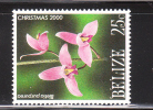 Belize 1990 Orchids 25c MNH - Belice (1973-...)