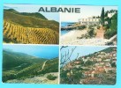 Postcard - Albania    (V 8760) - Albanie