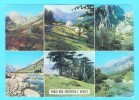 Postcard - Albania    (V 8761) - Albania