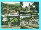 Postcard - Herrenalb  (V 8886) - Bad Herrenalb