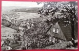 Klingenthal,Blick Vom Aschberg,1960 - Klingenthal