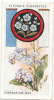 Owl / Boyscout & Girl Guide - Patrol Signs & Emblems / Forget Me Not / Myosotis / Fleur Flower  / IM 39 Players - Player's