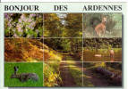 Bonjour Des ARDENNES - Andere & Zonder Classificatie