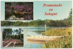 1089 - Promenade En SOLOGNE - Multivues (Faisan, Barque Sur Un étang, Chemin, ...) - Circulée 1988 - Scan Recto-verso - Pays De La Loire