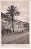 AGADIR FOUNTI 7 LES PALMIERS (MULET ET ANIMATION) - Agadir
