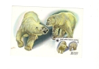 BC61940  Ours Bear Polar Animaux Animals Maximum Carte Maxima Perfect Shape 2 Scans - Bären