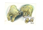 BC61940  Ours Bear Polar Animaux Animals Maximum Carte Maxima Perfect Shape 2 Scans - Orsi