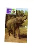 BC61957 Elephants Animaux Animals Maximum Carte Maxima Perfect Shape 2 Scans - Elefanten