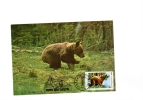 BC61964 Ours Bear  Animaux Animals Maximum Carte Maxima Perfect Shape 2 Scans - Bären