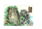 BC61977 Hiboux Owl Animaux Animals Maximum Carte Maxima Perfect Shape 2 Scans - Owls