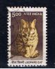 IND+ Indien 2000 Mi 1759 Katze - Used Stamps