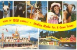 USA, Home Of 1000 Animals, Sterling, Alaska, 1950s Unused Postcard [P8467] - Other & Unclassified