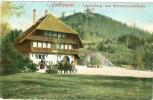 Karlsruhe, Lauterberg Und Schwarzwaldhaus,  1908 - Karlsruhe