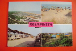 ROSOLINA VILLAGGIO TURISTICO ROSAPINETA CAMPING   CAMPEGGIO ROVIGO VENETO   VIAGGIATA  COME DA FOTO - Rovigo