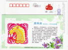 Capricorn Star,Sign Of Zodiac,12 Constellation,flower,China 2009 Hainan New Year Greeting Advert Pre-stamped Card - Astrology