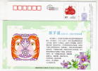 Gemini Star,Sign Of Zodiac,12 Constellation,flower,China 2009 Hainan New Year Greeting Advert Pre-stamped Card - Astrology