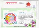 Aries Star,Sign Of Zodiac,12 Constellation,flower,China 2009 Hainan New Year Greeting Advert Pre-stamped Card - Astrology