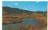 USA, Madison River Near Ennis, Montana, Unused Postcard [P8526] - Other & Unclassified