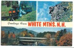 USA, Greetings From White Mountains, New Hampshire, Unused Postcard [P8533] - White Mountains