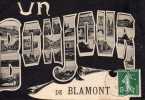 BLAMONT : (54) Un Bonjour De Blamont - Blamont