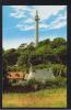 RB 853 - J. Salmon Postcard The Anglesey Column Wales - Anglesey