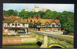 RB 853 - Postcard Arundel Sussex - S.W. Newton Shop - Arundel