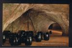 RB 853 - J. Salmon Postcard The Cafe St Clement's Cave Hastings Sussex - Hastings