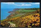 RB 853 - Postcard The Fire Hills Fairlight Near Hastings Sussex - Hastings