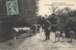 Delcampe - SCENES CHAMPÊTRES - Un Troupeau Se Rendant Aux Champs - Chèvres  Vaches - Other & Unclassified