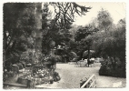 Beg-Meil (29) : Jardin De L'Hôtel Thalamot En 1962 (animée) PHOTO VERITABLE. - Beg Meil