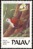 Palau. 1989. Gallicolombe Des Palau, Gallicolumba Canifrons - Pigeons & Columbiformes