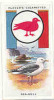 Owl / Boyscout & Girl Guide - Patrol Signs & Emblems / See-gull / Bird Oiseau Mouette / IM 39 Players - Player's