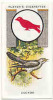 Owl / Boyscout & Girl Guide - Patrol Signs & Emblems / Cuckoo / Coucou Bird Oiseau / IM 39 Players - Player's