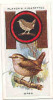 Owl / Boyscout & Girl Guide - Patrol Signs & Emblems / Wren / Roitelet Bird Oiseau / IM 39 Players - Player's