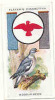 Owl / Boyscout & Girl Guide - Patrol Signs & Emblems / Wood-pigeon / Ramier Bird Oiseau / IM 39 Players - Player's