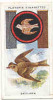 Owl / Boyscout & Girl Guide - Patrol Signs & Emblems / Skylark / Alouette / Vanneau Bird Oiseau / IM 39 Players - Player's