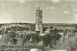 WEST TERSCHELLING / PANORAMA MET DE BRANDARIS - Terschelling