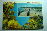 D 44 - Saint Brevin - Cité Des Mimosas - Saint-Brevin-les-Pins