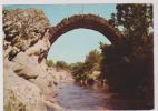 CPM DPT 30 SAINT JEAN DU GARD, LE PONT DES CHEVRES A ESTRECHURES EN 1976 - Saint-Jean-du-Gard