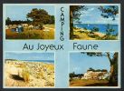 DF / 17 CHARENTE MARITIME / LA PALMYRE / LES MATHES / CAMPING AU JOYEUX FAUNE / CIRCULEE EN 1975 - Les Mathes