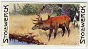 Stollwerck - Règne Animal – 11.3 (NL) – Edelhert, Cervus, Red Deer,  cerf élaphe - Stollwerck